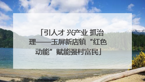 引人才 兴产业 抓治理——玉屏新店镇“红色动能”赋能强村富民