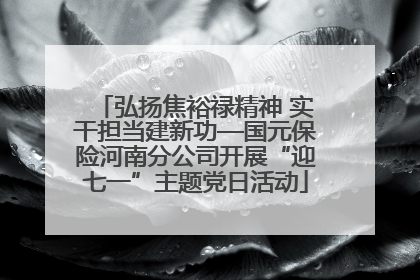 弘扬焦裕禄精神 实干担当建新功—国元保险河南分公司开展“迎七一”主题党日活动