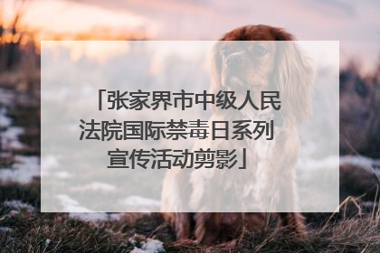 张家界市中级人民法院国际禁毒日系列宣传活动剪影