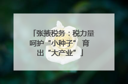 张掖税务：税力量呵护“小种子” 育出“大产业”