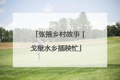 张掖乡村故事｜戈壁水乡插秧忙
