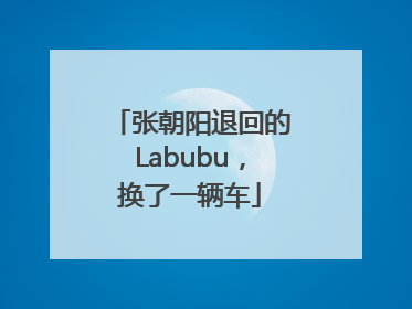 张朝阳退回的Labubu，换了一辆车