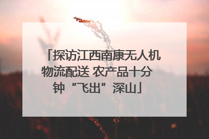 探访江西南康无人机物流配送 农产品十分钟“飞出”深山