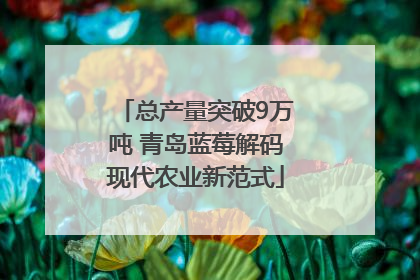 总产量突破9万吨 青岛蓝莓解码现代农业新范式