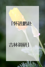 怀进鹏赴吉林调研