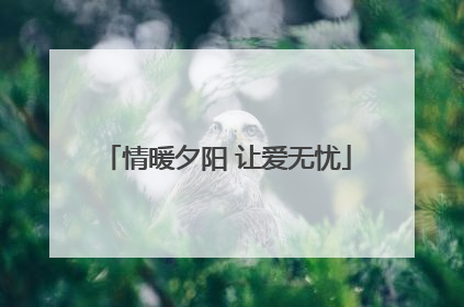 情暖夕阳 让爱无忧