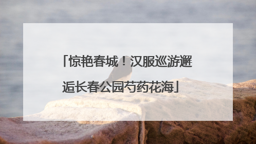惊艳春城！汉服巡游邂逅长春公园芍药花海