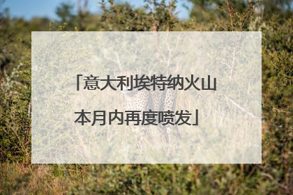 意大利埃特纳火山本月内再度喷发