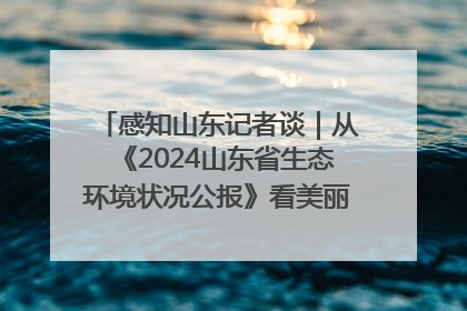 感知山东记者谈｜从《2024山东省生态环境状况公报》看美丽山东建设的“成绩单”与“任务书”