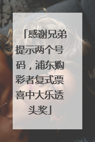 感谢兄弟提示两个号码，浦东购彩者复式票喜中大乐透头奖