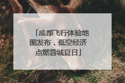 成都飞行体验地图发布，低空经济点燃蓉城夏日