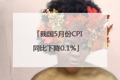 我国5月份CPI同比下降0.1%