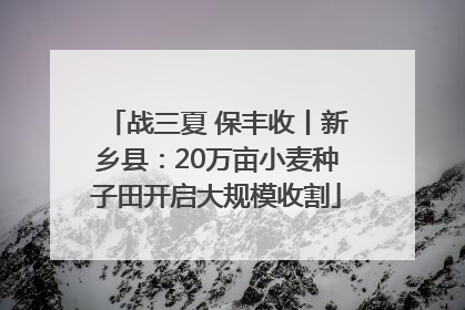 战三夏 保丰收丨新乡县：20万亩小麦种子田开启大规模收割