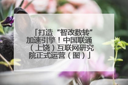 打造“智改数转”加速引擎！中国联通（上饶）互联网研究院正式运营（图）