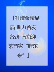 打造金陵品质 助力首发经济 南京迎来首家“胖东来”