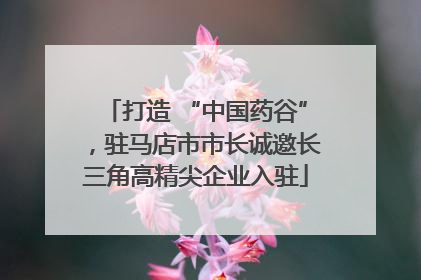 打造 “中国药谷”，驻马店市市长诚邀长三角高精尖企业入驻