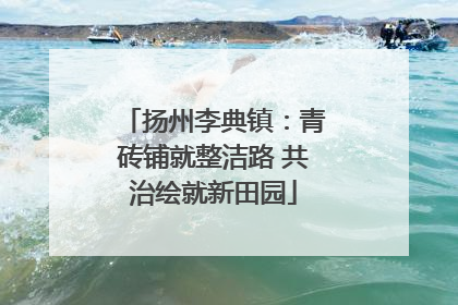 扬州李典镇：青砖铺就整洁路 共治绘就新田园
