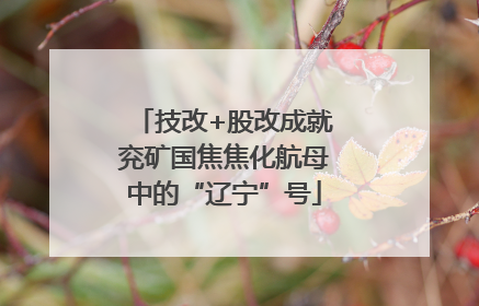 技改+股改成就兖矿国焦焦化航母中的“辽宁”号