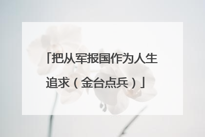 把从军报国作为人生追求（金台点兵）