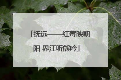 抚远——红莓映朝阳 界江听熊吟