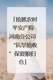 抢抓农时 平安产险河南分公司“抗旱抢收”保夏粮归仓
