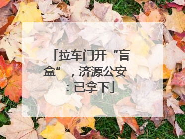 拉车门开“盲盒”，济源公安：已拿下