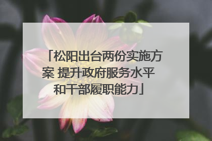 松阳出台两份实施方案 提升政府服务水平和干部履职能力