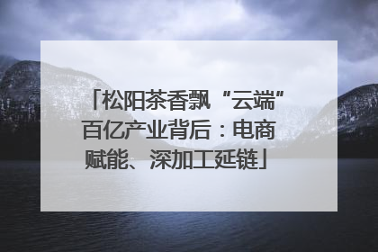 松阳茶香飘“云端” 百亿产业背后：电商赋能、深加工延链
