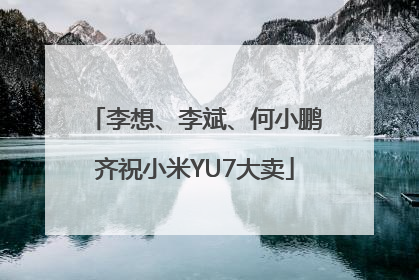 李想、李斌、何小鹏齐祝小米YU7大卖