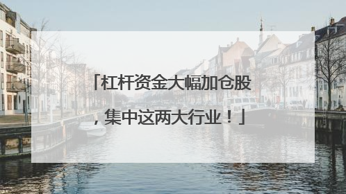 杠杆资金大幅加仓股，集中这两大行业！