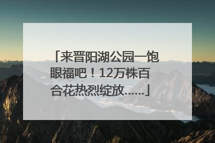 来晋阳湖公园一饱眼福吧！12万株百合花热烈绽放……