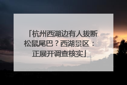 杭州西湖边有人拔断松鼠尾巴？西湖景区：正展开调查核实