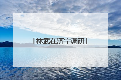 林武在济宁调研