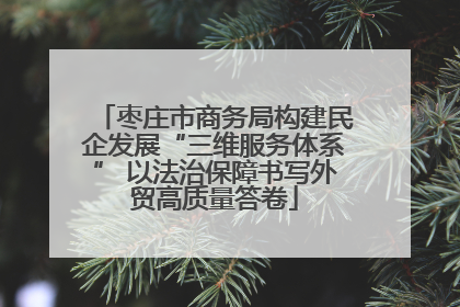 枣庄市商务局构建民企发展“三维服务体系” 以法治保障书写外贸高质量答卷