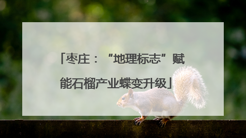 枣庄：“地理标志”赋能石榴产业蝶变升级