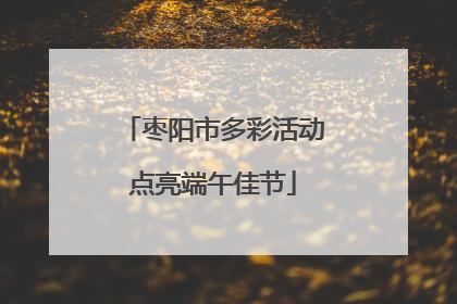 枣阳市多彩活动点亮端午佳节