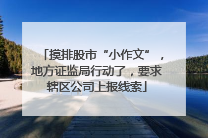 摸排股市“小作文”，地方证监局行动了，要求辖区公司上报线索