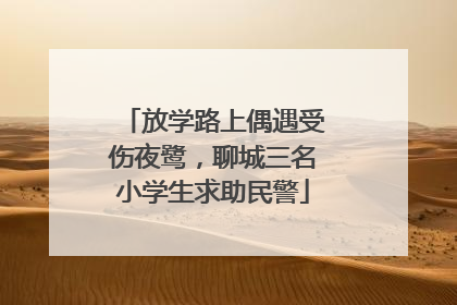 放学路上偶遇受伤夜鹭，聊城三名小学生求助民警