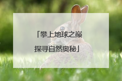 攀上地球之巅 探寻自然奥秘