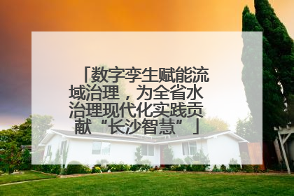 数字孪生赋能流域治理，为全省水治理现代化实践贡献“长沙智慧”
