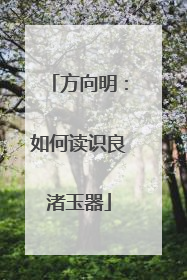 方向明：如何读识良渚玉器