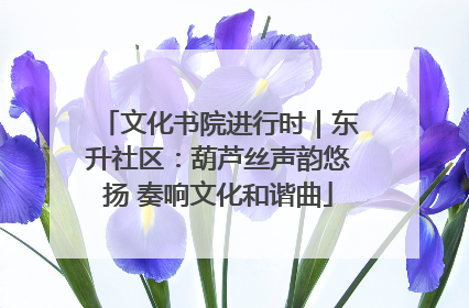 文化书院进行时｜东升社区：葫芦丝声韵悠扬 奏响文化和谐曲