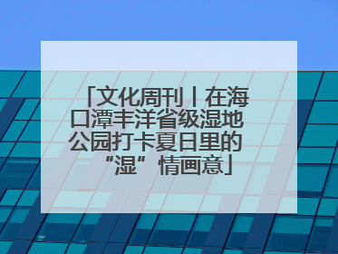 文化周刊丨在海口潭丰洋省级湿地公园打卡夏日里的“湿”情画意