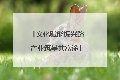 文化赋能振兴路 产业筑基共富途