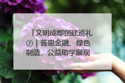 文明成都创建巡礼⑦｜普惠金融、绿色制造、公益助学展现城市文明底色