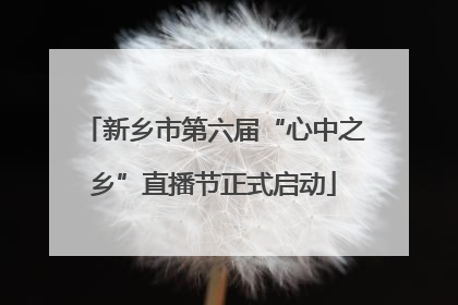 新乡市第六届“心中之乡”直播节正式启动