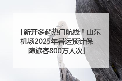 新开多趟热门航线！山东机场2025年暑运预计保障旅客800万人次