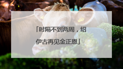 时隔不到两周，绍伊古再见金正恩