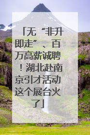 无“非升即走”、百万高薪诚聘！湖北赴南京引才活动这个展台火了