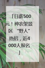 日薪500元！神农架景区 “野人” 热招，近4000人报名